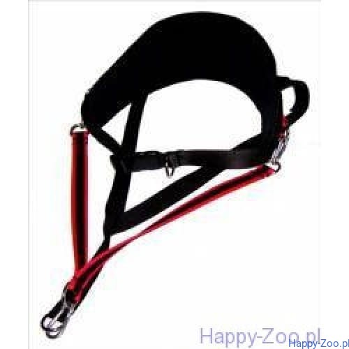 a0884b46a35362d103a7daf24deab503