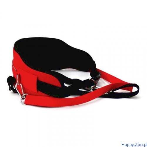 d6b6fa16cc15927db933c8849bf83faa