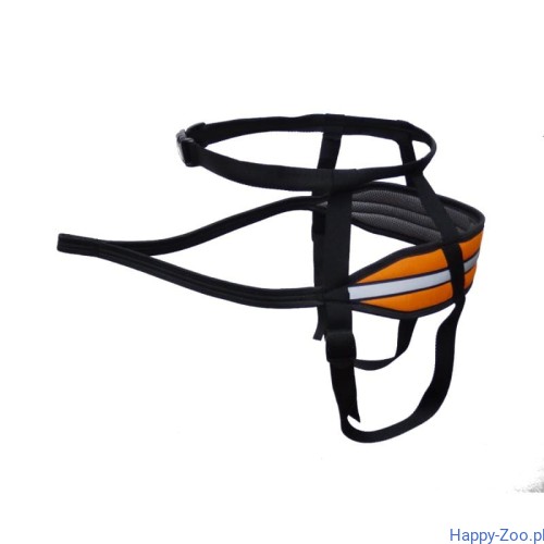 5468986b1594170517222ad7fd296c53