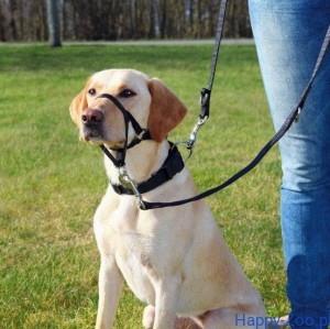 Trixie UPRZĄŻ ROZMIAR rozm. L, 31 cm