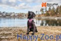 Szelki-dla-psa-Non-stop-dogwear-Ramble-harness 2.jpg