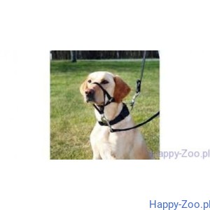 Trixie Uprząż Top Trainer Kantar/Halter rozm. L 31 cm