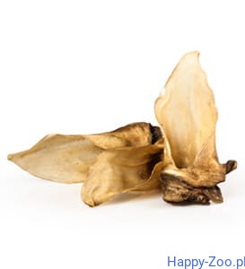 Balto ucho sarny 1szt.