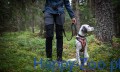 Touring-Bungee-Adjustable---smycz-Non-stop-dogwear 4.jpg