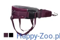trekking_belt_2_0_1.webp