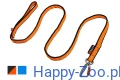 bungee_leash_2019_1.webp