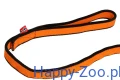 bungee_leash_2019_feature_1.webp