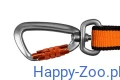 bungee_leash_2019_feature_2.webp