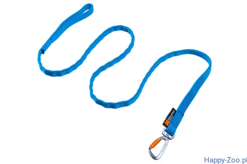 bungee_leash_blue_1.webp