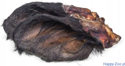 7c4c97f53c9e554454b6057bd3319ccc