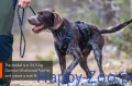 rock_harness_long_setting_4.webp