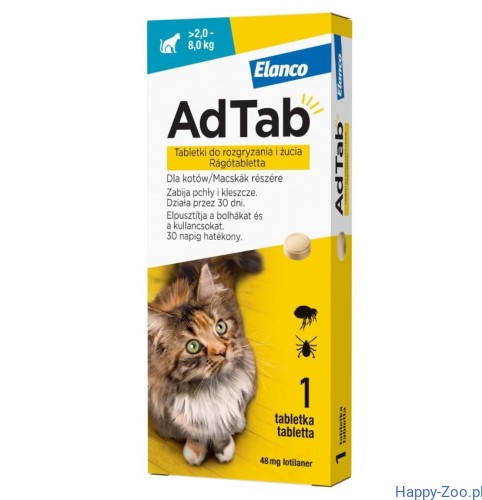 adtab kot.jpg
