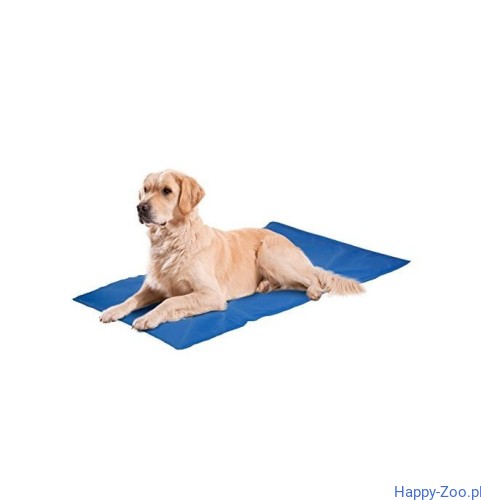 c06c8e29c2147c0634f29a4bef84ee2e