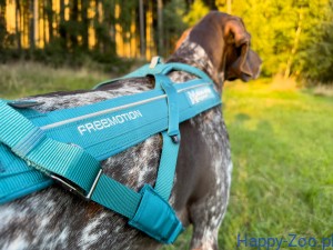 Non-Stop Dogwear Freemotion harness 5.0 turkusowe