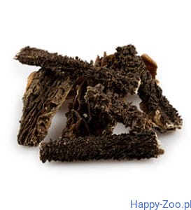 Balto żwacze wołowe 500 g.jpg