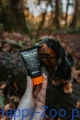 paw_care_setting_1.webp