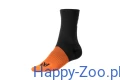 canix_socks_feature_2.webp