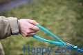 trekking_rope_leash_feature_2.webp