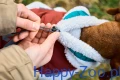 trekking_fleece_dog_jacket_feature_4.webp