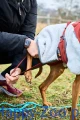 trekking_fleece_dog_jacket_feature_3.webp