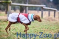 trekking_fleece_dog_jacket_setting_4.webp