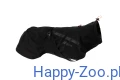 trekking_dog_raincoat_1.webp