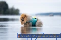 protector_life_jacket_teal_setting_3.webp
