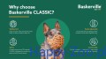 19_max.jpg