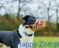13_max.jpg