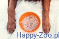 293ffce6c2f1b3ac9787720f9d253b3b.jpg