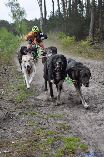 c2d6167673fbe0aeb76fafc76ab5135c