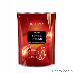 HOLISTA Arthro Strong 600g - dysplazja stawów psy 
