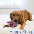 KONG Low Stuff Sttripes Pig roz.Mmm.webp