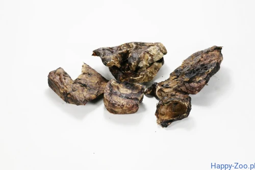 płuca końskie.webp