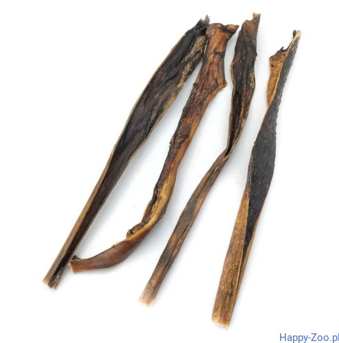 best dog skóra jelenia 50cm.JPG