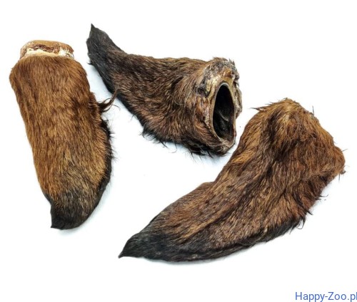 ucho końskie best dog futro.JPG