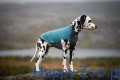 non-stop dogwear pullover.JPG