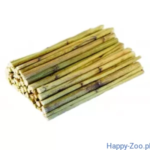 Młode łodygi Topinamburu Ham-Stake 100g