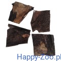 Zwacz-wolowy-PLATY1.jpg