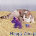 Kong Enchanted Buzzy Unico.jpg