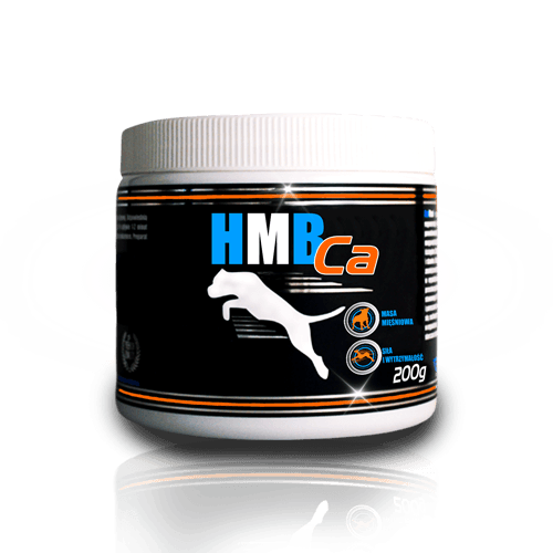 f338a0a4ce1f8dbca575d5aa0cfa7f4e