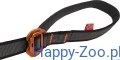 12807549.webp