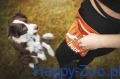 LOYPE saszetka limitowana edycj.jpg