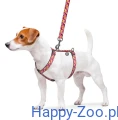 waudog-szelki-banan-2.JPG