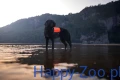 Non-stop Dogwear Protector Neoprene V.webp