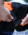 Non-stop Dogwear Protector Neoprene Ves.webp