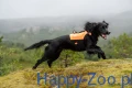 Non-stop Dogwear Protector Neoprene Vest Pr.webp