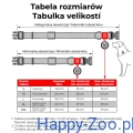 waudog_obroża_pomarańcze2.jpg