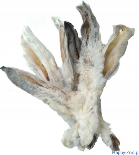 płuca_wołowe_balto_466.JPG