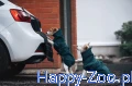 drying_coat_dark_teal_2668-2678_04_lifestyle.webp